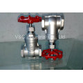 Dn15 Stainless Steel CF8m Thread Gate Valve